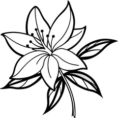 Minimal Honeysuckle Flower Vector on White