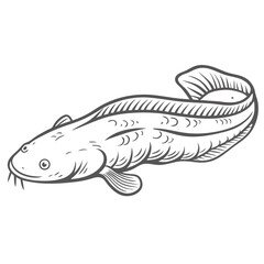 Senegal Bichir Polypterus Senegalus Line Art Illustration