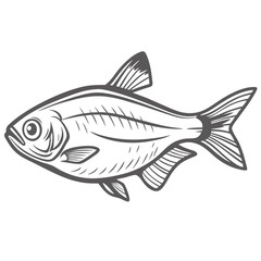 Congo Tetra Fish Line Art Illustration