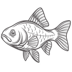 Peppered Corydoras Fish Line Art Illustration