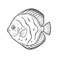 Discus Fish Outline Illustration, Symphysodon Species