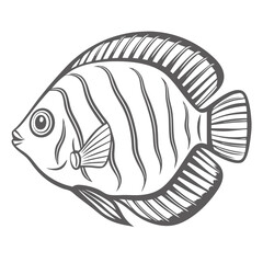 Dwarf Gourami Fish Line Art Illustration