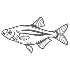 Emperor Tetra Fish Illustration, Nematobrycon palmeri