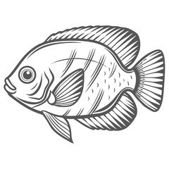Honey Gourami Fish Line Art Illustration