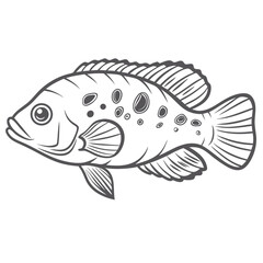 Jewel Cichlid Outline Illustration, Hemichromis Bimaculatus
