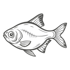 Lemon Tetra Fish Line Art Illustration