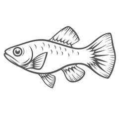 Platy Fish Line Art Illustration Vector