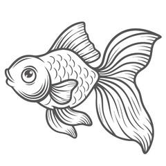 Ryukin Goldfish Outline Illustration, Carassius Auratus