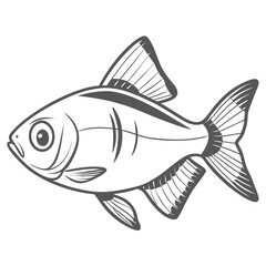 Serpae Tetra Fish Outline Illustration