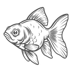 Shubunkin Goldfish Outline Illustration, Carassius Auratus