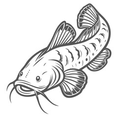 Upside-Down Catfish Line Art Illustration