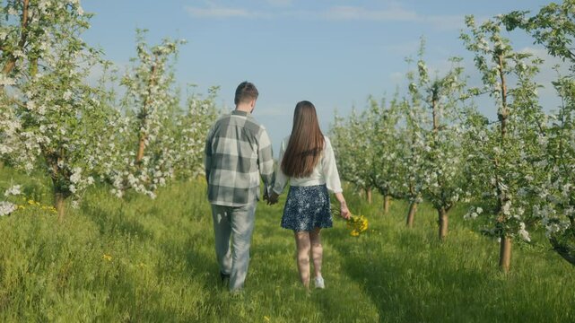 Young Couple Walking Hand in Hand Through a Blooming Orchard in Spring