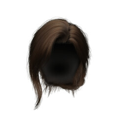 3d render brunette messy tied hair isolated