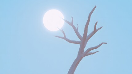 Minimalist Bare Tree Branch Silhouette Against Bright Sun Pastel Sky
