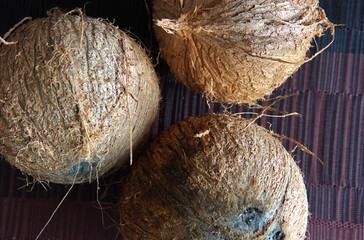 Close-up of several coconuts on a table basking in the sun in Costa Rica