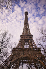 Eiffel Tower and Winter Trees Against a Bright Paris Sky