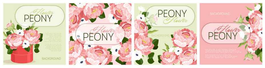 Peonies posters set. Greeting postcards with pink flowers. Romantic gifts or presents. Bloom and blossom bouquet. Flat vector collection isolated on white background