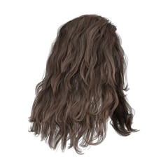 3d render medium brunette fashion curly hair isolated