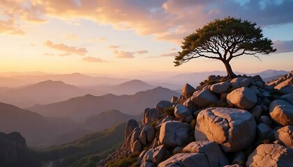 Resilient Life: A Lone Tree Thrives Amidst Rugged Rocks, Stunning Landscape hill view cliff stone   
