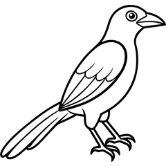 Obraz premium Minimal Indian Roller Vector on White