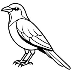 Obraz premium Minimal Indian Roller Vector on White