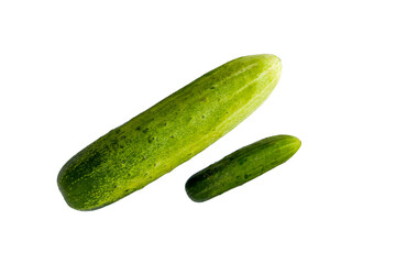 Fresh cucumbers on white background.