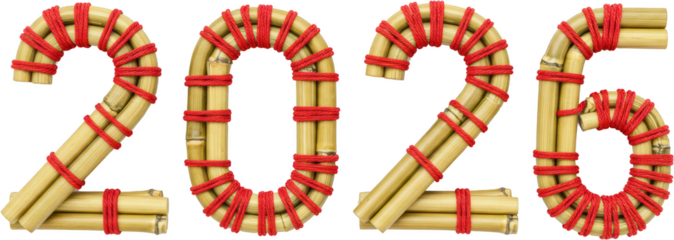 2025 New Year Bamboo and Red String Number Design