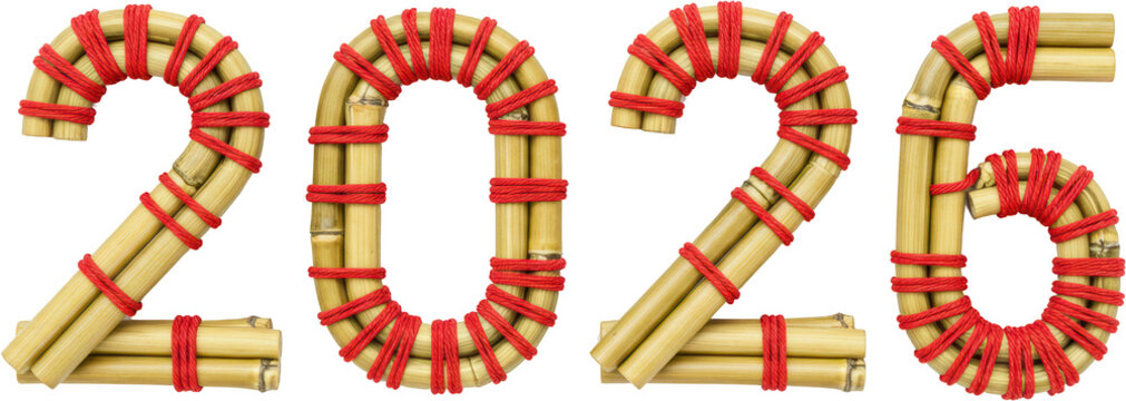2025 New Year Bamboo and Red String Number Design