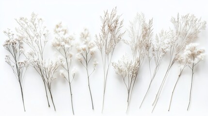 Elegant Dried Floral Arrangement White Beige Branches Botanical Minimalist Decor Home Winter Wedding Design Natural Beauty Soft Pastel Colors Simple  