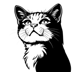 Obraz premium Stylish Black and White Cat Portrait, Vector Illustration
