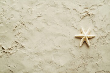 Beige textured surface with starfish (1)