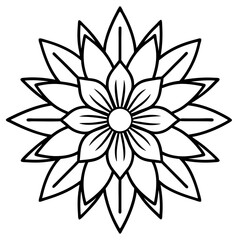 Radiant Boho Blooms Vector on White