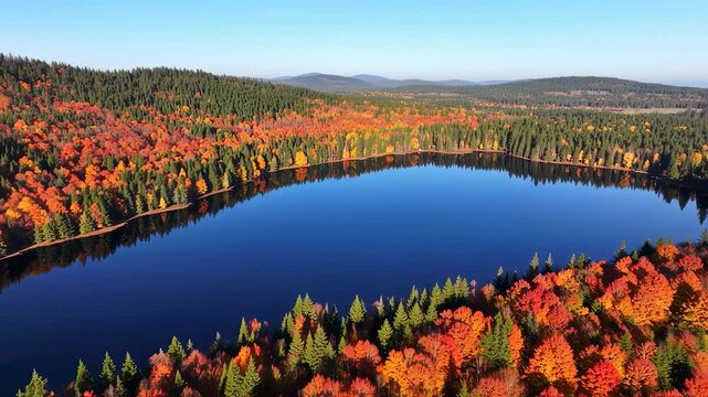 Aerial landscape of autumn lakes and forests