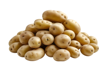 Pile of Small Fresh Potatoes Isolated on White for Healthy Eating Concepts: Natural Heap of Root Vegetables Imagery: Potatoes, Small, Pile, Isolated, White, Fresh, Healthy, Eating, Vegetable, Root.
