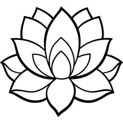 Minimal Boho Blossom Sketches Vector on White