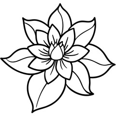 Minimal Boho Blossom Sketches Vector on White