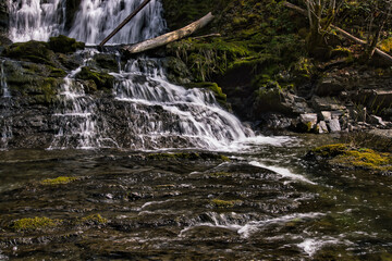 Fresh water cascades down a large beautiful waterfall into a crystal clear rocky pool below, surrounded by lush tropical rainforest, vancouver island, british colombia, canada 