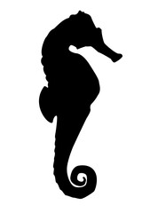 Seahorse swimming silhouette