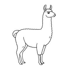 Fototapeta premium Llama standing calmly Line Icon - Simple Vector Outline in minimalistic black and white design