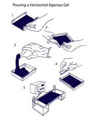 Pouring a Horizontal Agarose Gel