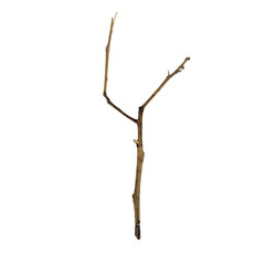 Dry Weathered Tree Branch Isolated on White Background – Natural Rustic Texture for Eco Projects and Artistic Design