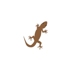 lizard logo and vector template