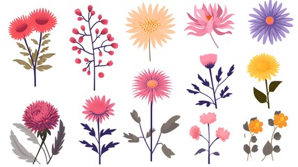 Aster September Birth Month Flower: Colorful Vector Illustration for Design Projects