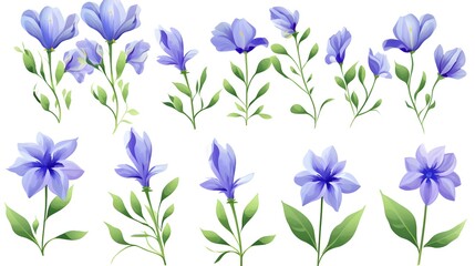 Beautiful Blue Bell Flowers and Periwinkle with Vibrant Green Leaves in a Natural Setting for Florist Advertisement