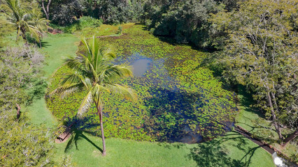 This Is a Beautiful Brazilian Lake With Lotus Flower