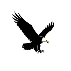eagle in flight