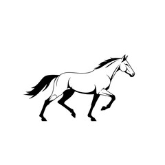 horse vector illustration