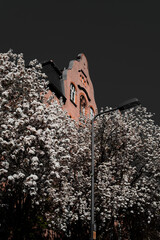 A historic red-brick building with distinctive gable architecture is partially hidden behind...