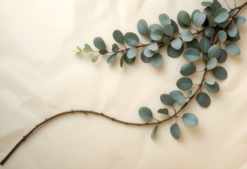 Elegant Eucalyptus Branch on Beige Background Flat Lay  for Design Projects and Invitations