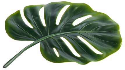 Single artificial Monstera deliciosa leaf, vibrant green, detailed texture, isolated on white. Perfect for tropical designs and decorations.